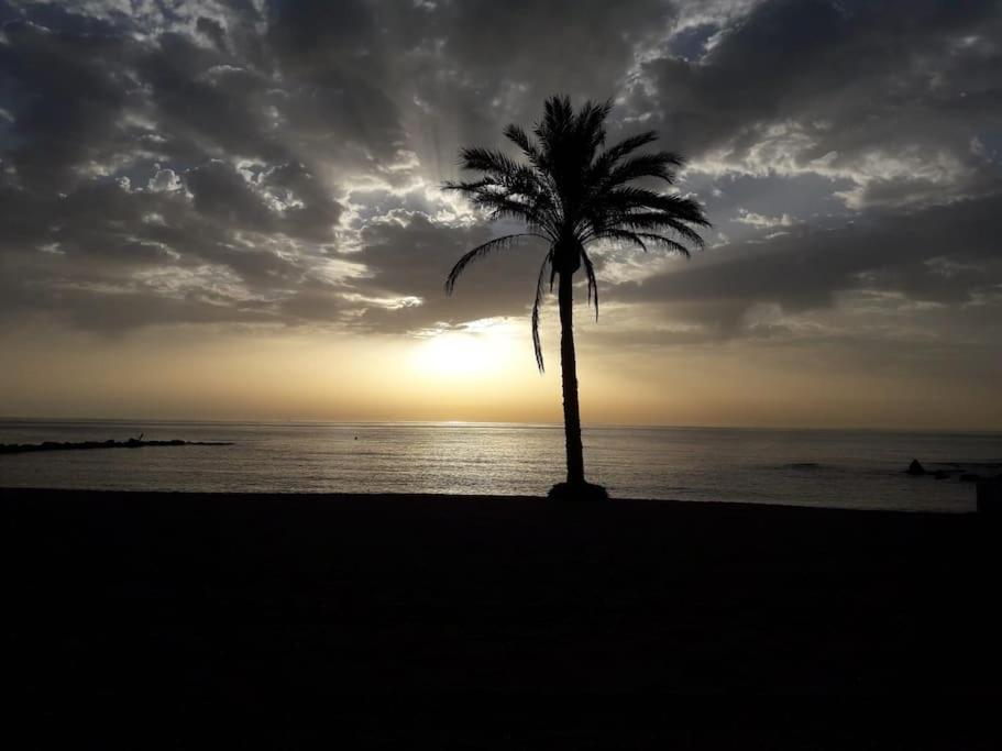 Central Estepona 3 Bed Apt With Pool And Parking מראה חיצוני תמונה